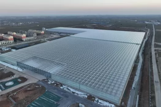 Berg Hortimotive trolleys driving around in the first high-tech greenhouse in Henan, China Berg Hortimotive trolleys driving around in the first high-tech greenhouse in Henan, China