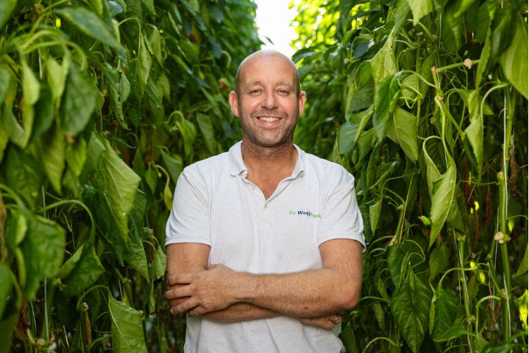 The BeMatic Meto at Kwekerij De Westhoek, The Netherlands The BeMatic Meto at Kwekerij De Westhoek, The Netherlands